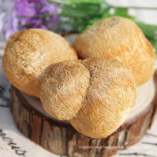 Chinese Dried Monkey Head Mushroom, Lions Mane Mushroom, Hericium Erinaceus,